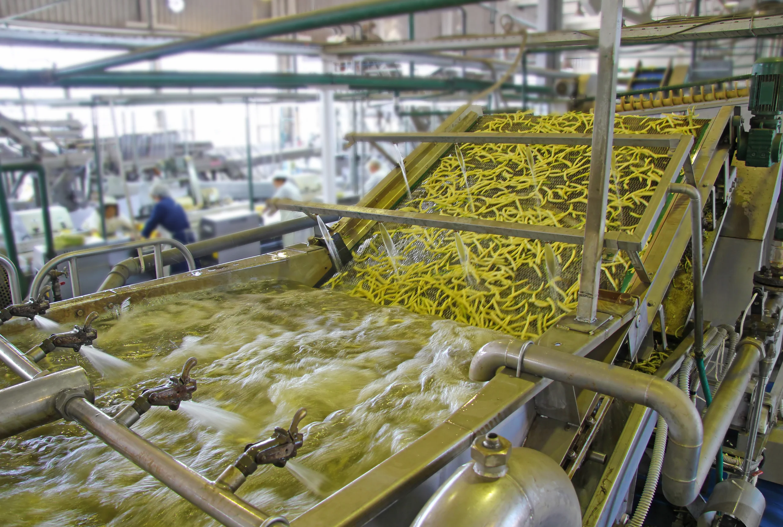 Lavage de légumes